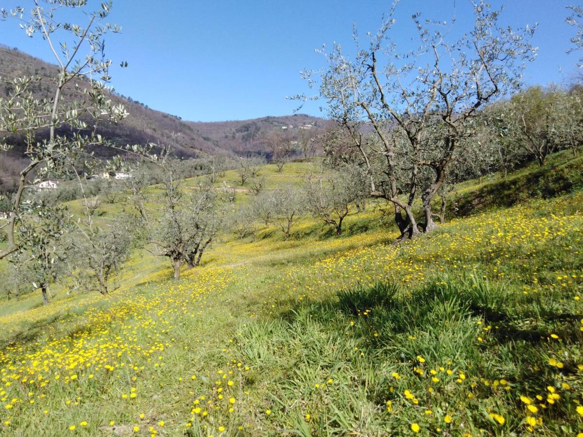 Agriturismo Terrarossa Pistoia Kültér fotó