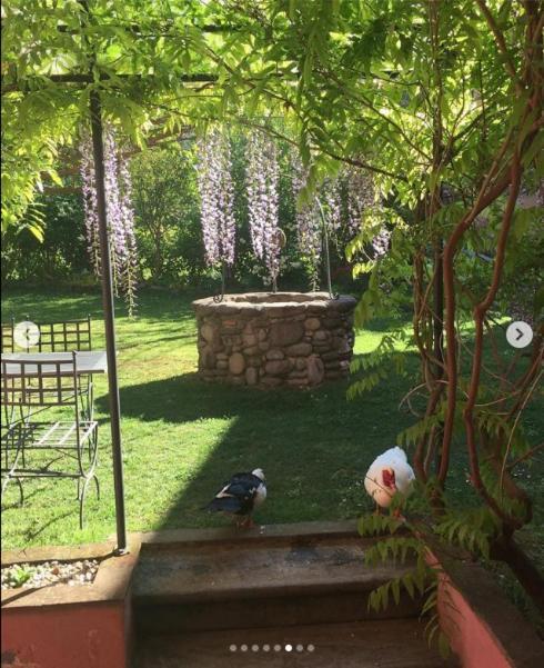 Agriturismo Terrarossa Pistoia Kültér fotó