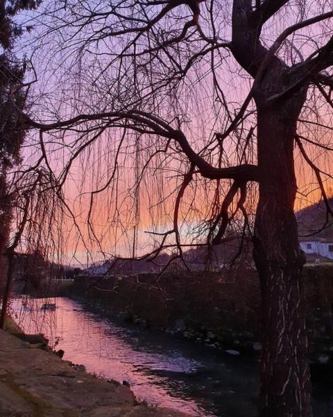 Agriturismo Terrarossa Pistoia Kültér fotó
