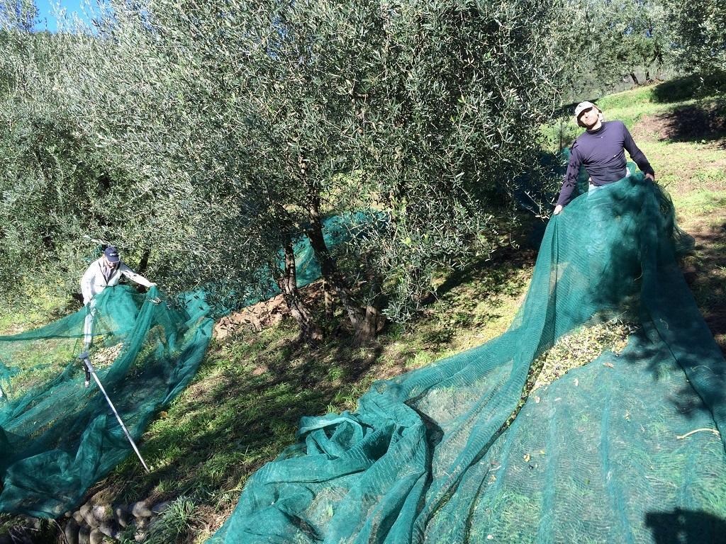 Agriturismo Terrarossa Pistoia Kültér fotó