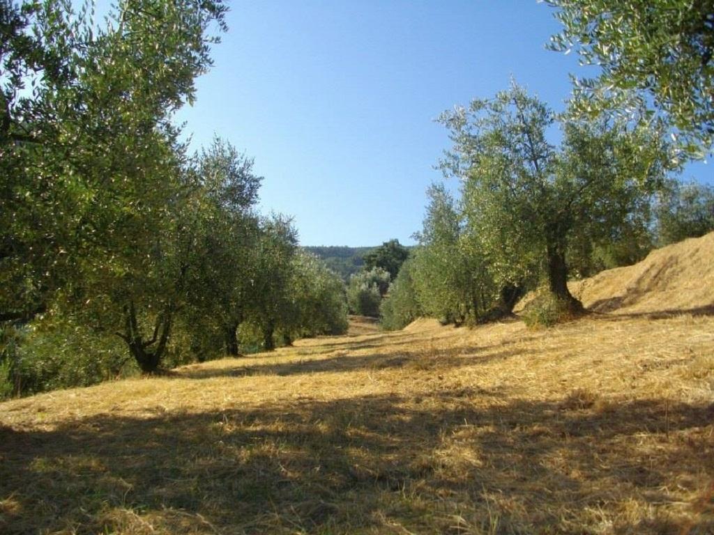 Agriturismo Terrarossa Pistoia Kültér fotó