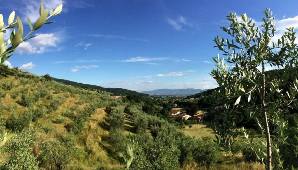 Agriturismo Terrarossa Pistoia Kültér fotó