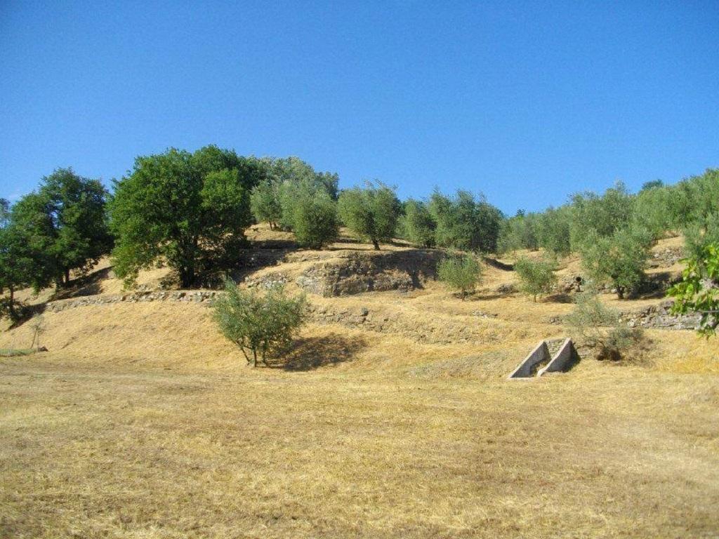 Agriturismo Terrarossa Pistoia Kültér fotó