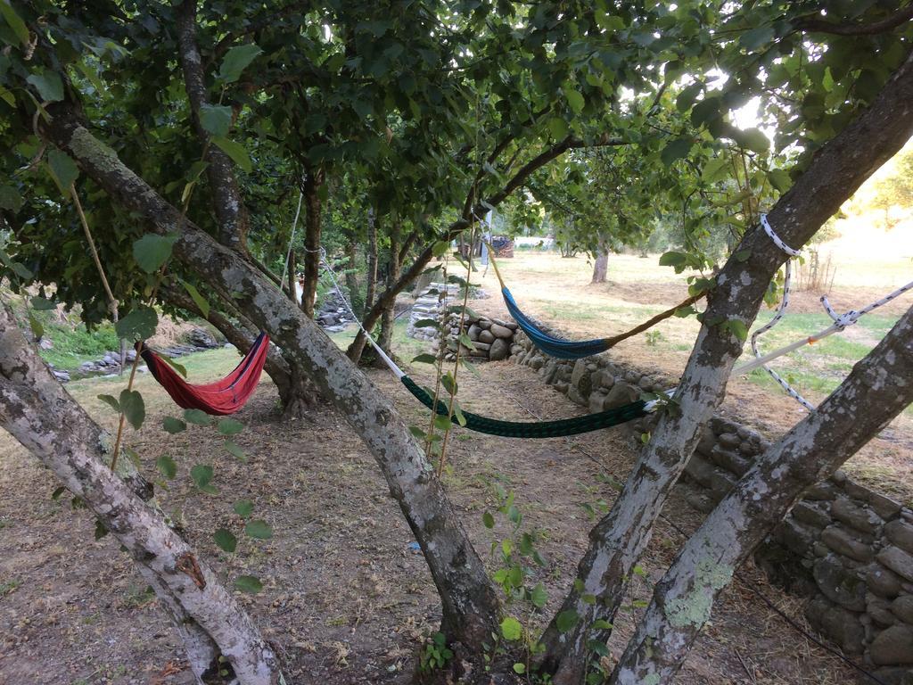 Agriturismo Terrarossa Pistoia Kültér fotó