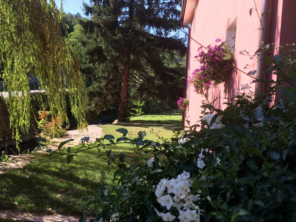 Agriturismo Terrarossa Pistoia Kültér fotó