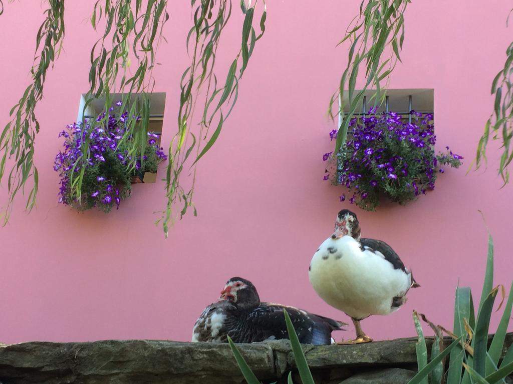 Agriturismo Terrarossa Pistoia Kültér fotó