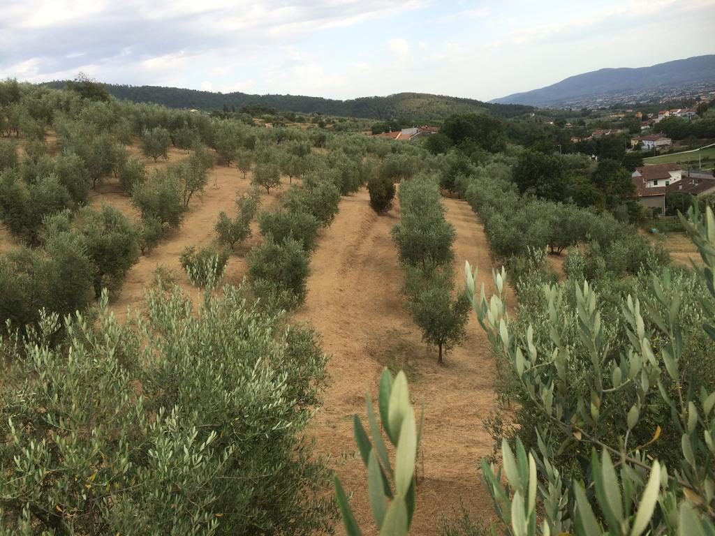 Agriturismo Terrarossa Pistoia Kültér fotó