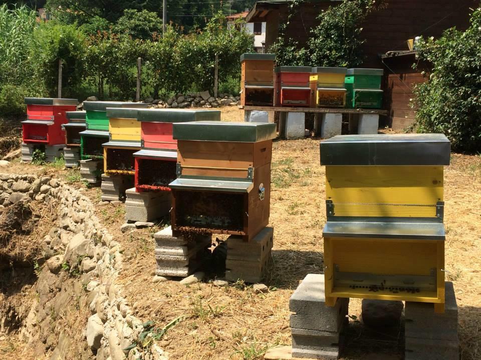 Agriturismo Terrarossa Pistoia Kültér fotó