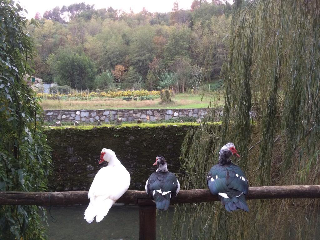 Agriturismo Terrarossa Pistoia Kültér fotó